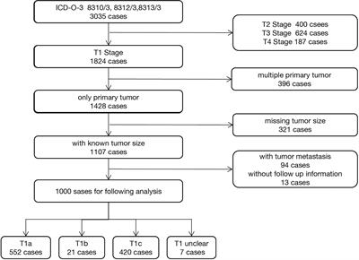 Tumor Size Is an Independent Prognostic Factor for Stage I Ovarian Clear Cell Carcinoma: A Large Retrospective Cohort Study of 1,000 Patients